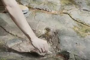 VIDEO Otisci stopala dinosaurusa stari 100 miliona godina...