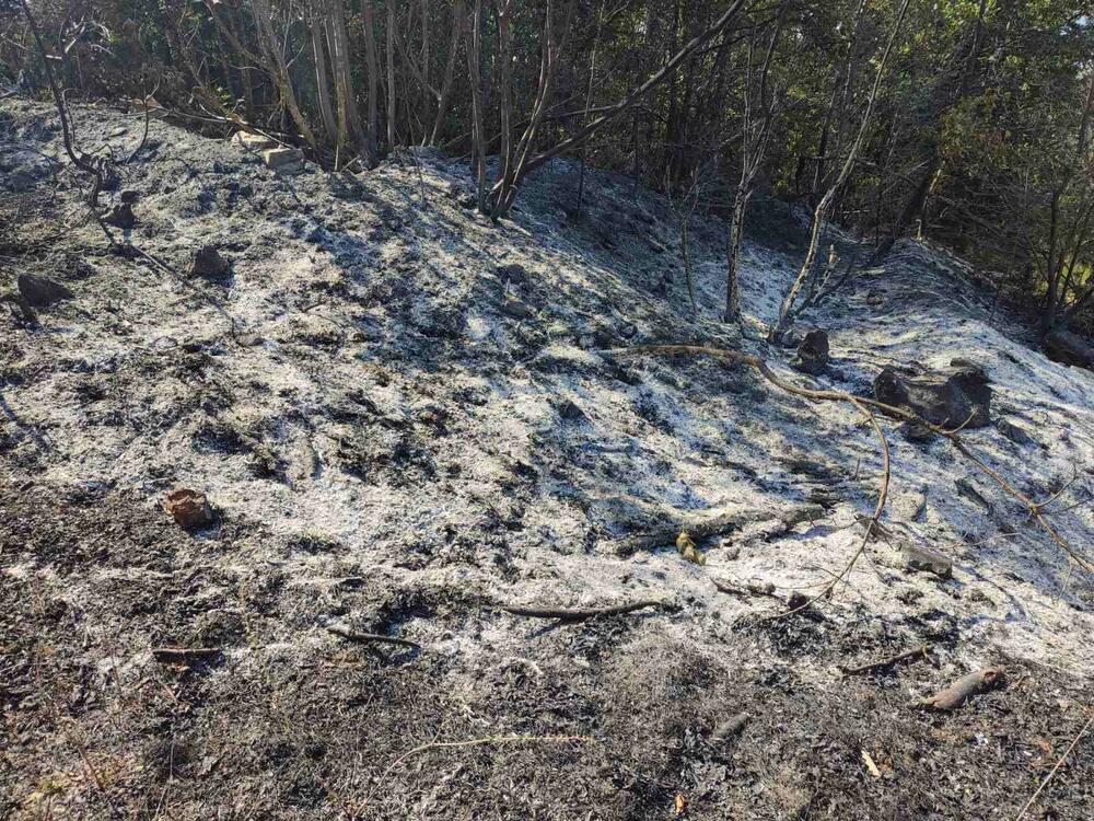 <p>Požar je zahvatio ogromnu površinu</p>