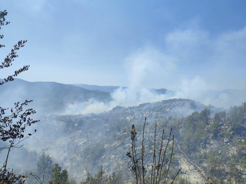 <p>Požar je zahvatio ogromnu površinu</p>