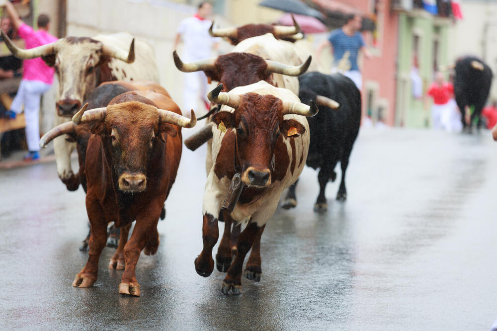 Ilustracija, Foto: Shutterstock