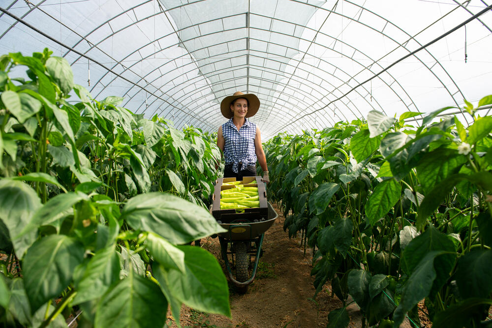 <p>Kupci posebno uživaju u plodovima iz Naše bašte, koji su uzgajani uz minimalnu upotrebu hemijskih sredstava.</p>