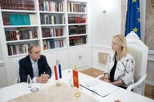 Đurović: Uloga vladavine prava ključna u reformskom napretku države