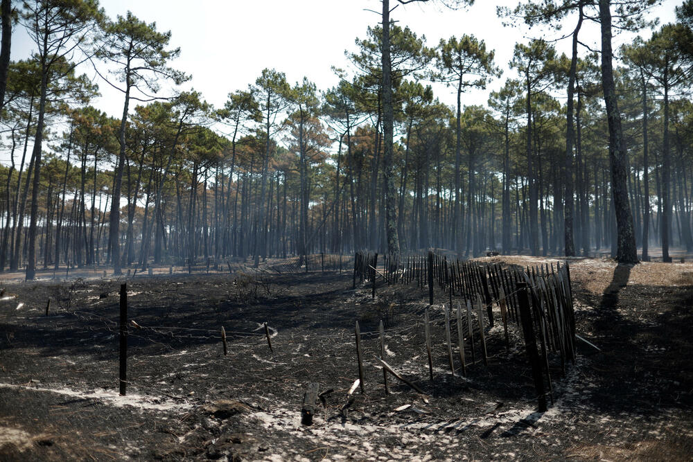 <p>Toplotni talas sa temepraturama iznad 40 Celzijusa zahvatio je veći dio Evrope prošle sedmice, a porast temperatura, naučnici i klimatolozi pripisuju ljudskoj aktivnosti<br /> </p>