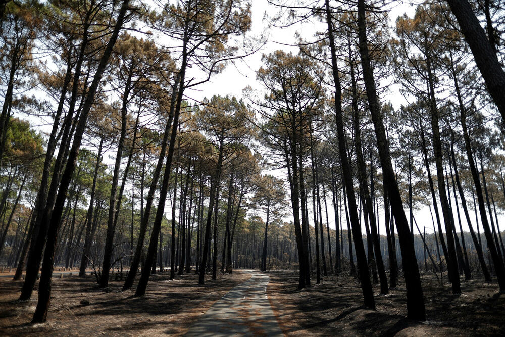 <p>Toplotni talas sa temepraturama iznad 40 Celzijusa zahvatio je veći dio Evrope prošle sedmice, a porast temperatura, naučnici i klimatolozi pripisuju ljudskoj aktivnosti<br /> </p>