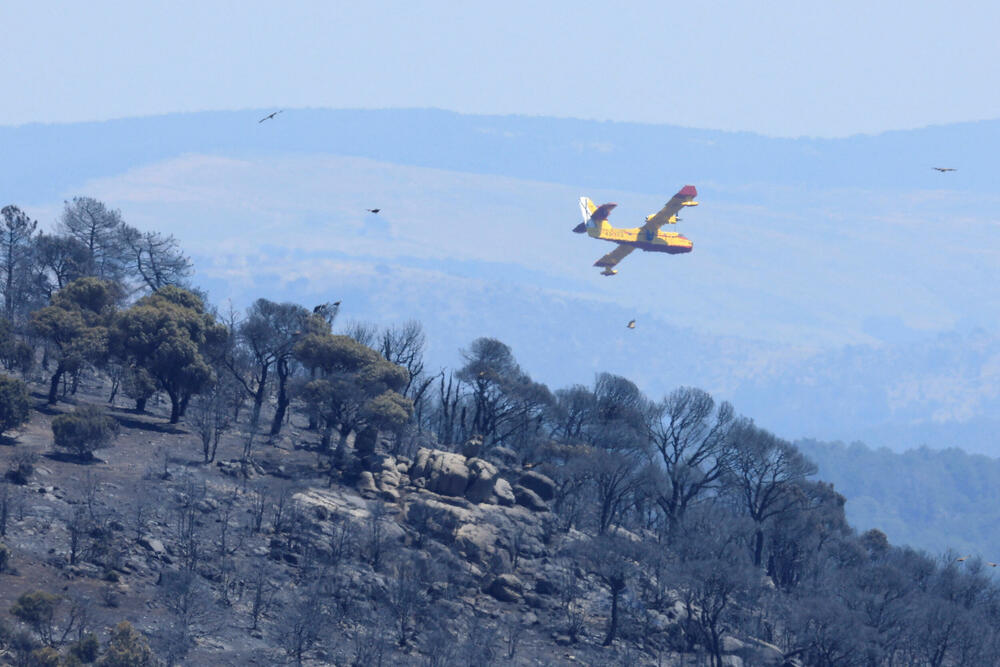 <p>Toplotni talas sa temepraturama iznad 40 Celzijusa zahvatio je veći dio Evrope prošle sedmice, a porast temperatura, naučnici i klimatolozi pripisuju ljudskoj aktivnosti<br /> </p>