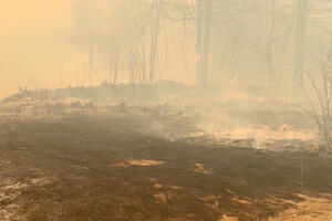 Požar u Sloveniji prijeti kućama, mještani sa vatrogascima...