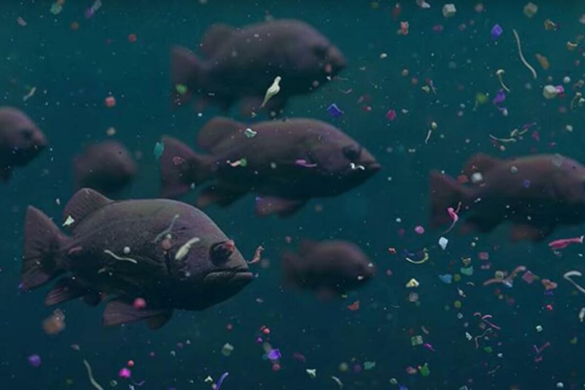 Robot fish could solve the problem of ocean pollution with