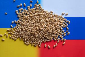Ukrajina potpisala sporazum o izvozu žita, čeka se potpis Rusije