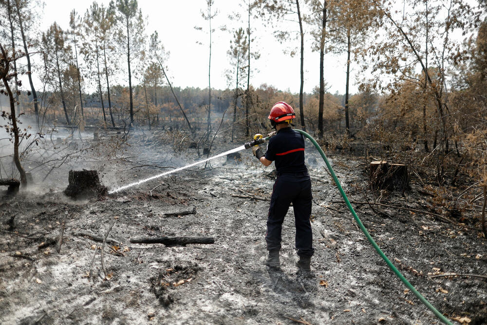 <p>EFFIS je naveo da bi Evropa mogla da završi 2022. godinu sa više spaljene površine nego 2017., do sada najgore godine, kada je u šumskim požarima bilo uništeno gotovo milion hektara<br /> </p>