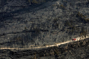 U šumskim požarima u Evropi spaljena veća površina zemlje nego u...