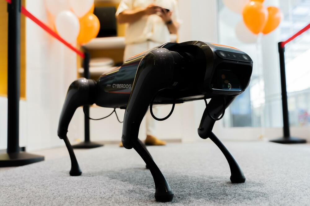 Foto: Xiaomi Crna Gora