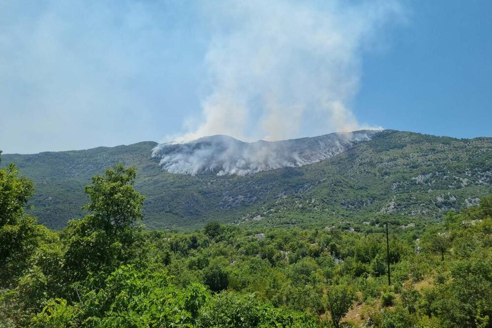 Požar u Bogetićima, Foto: Služba zaštite i spašavanja Nikšić