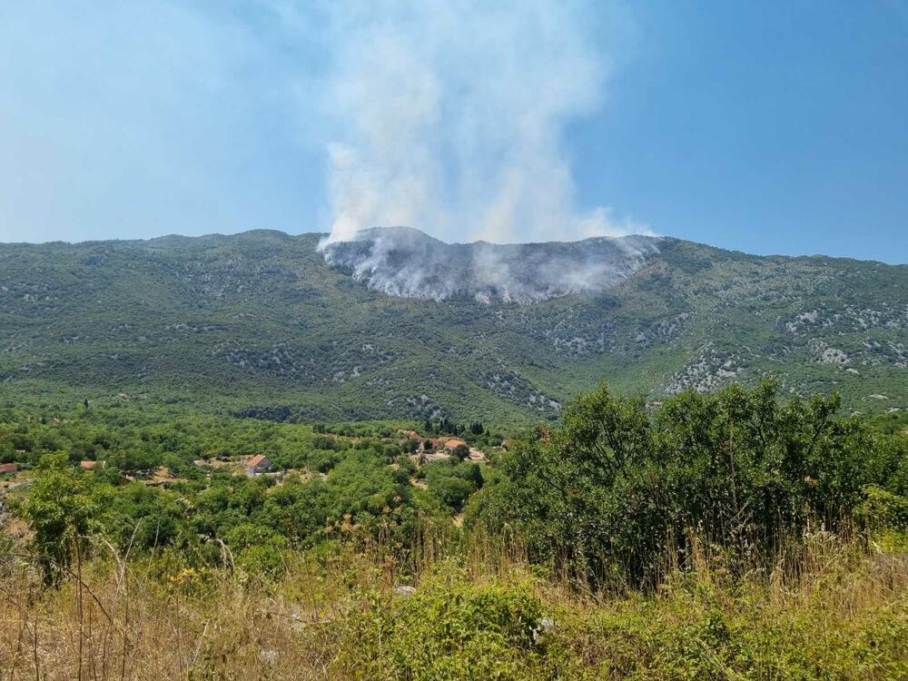 <p>"Pozivam predsjednike države i Vlade i sve ministre, da ako imaju malo hrabrosti i ako im je stalo da Vojnika, da organizuju grupu od stotinjak ljudi i pošalju je ovamo"</p>