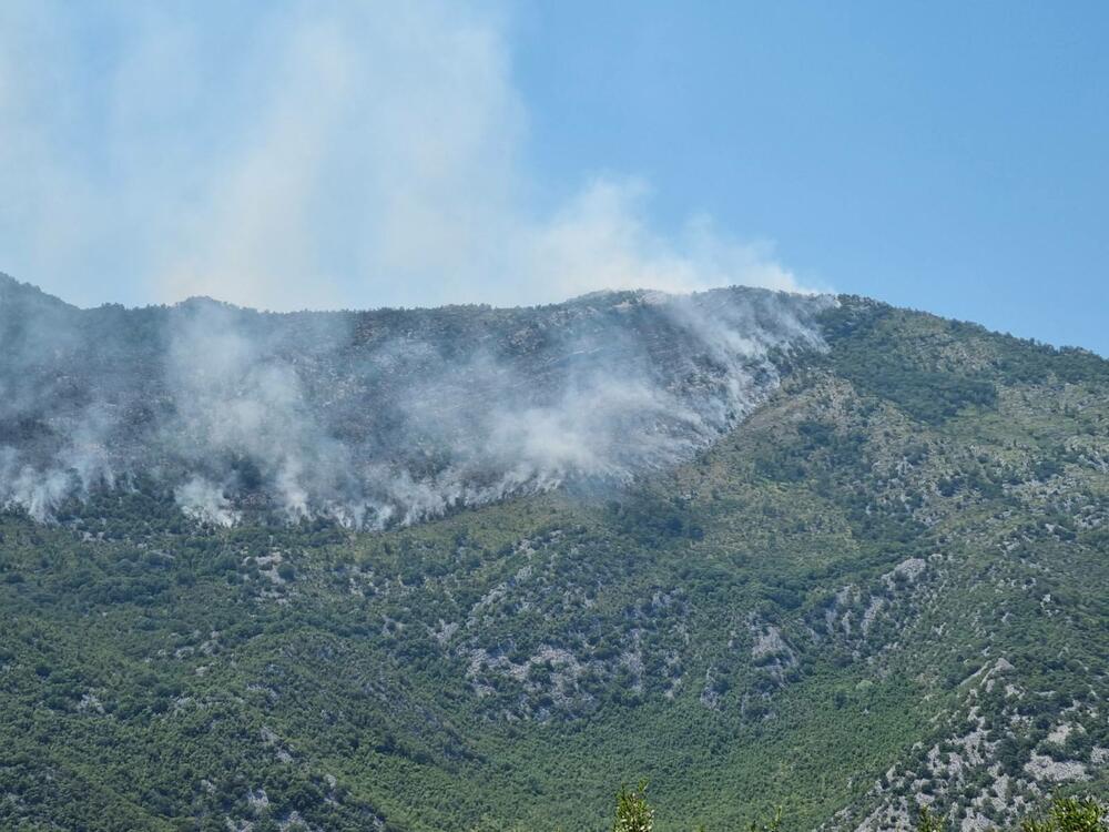 <p>"Pozivam predsjednike države i Vlade i sve ministre, da ako imaju malo hrabrosti i ako im je stalo da Vojnika, da organizuju grupu od stotinjak ljudi i pošalju je ovamo"</p>