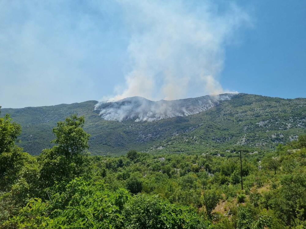 <p>"Pozivam predsjednike države i Vlade i sve ministre, da ako imaju malo hrabrosti i ako im je stalo da Vojnika, da organizuju grupu od stotinjak ljudi i pošalju je ovamo"</p>
