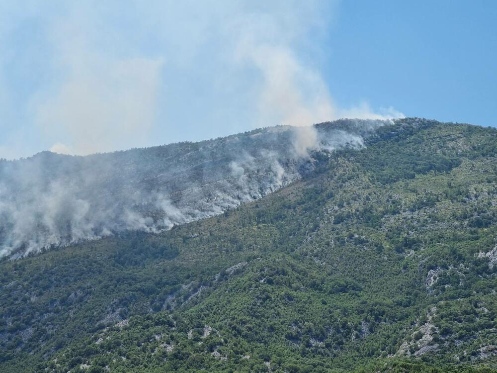 <p>"Pozivam predsjednike države i Vlade i sve ministre, da ako imaju malo hrabrosti i ako im je stalo da Vojnika, da organizuju grupu od stotinjak ljudi i pošalju je ovamo"</p>
