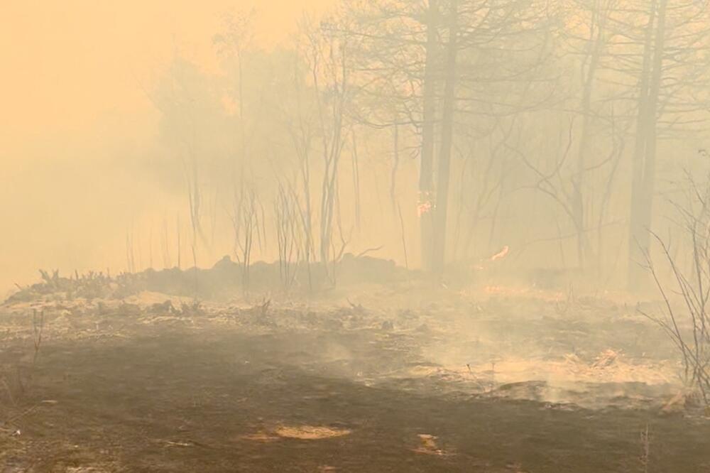 Požar na Krasu, Foto: Reuters
