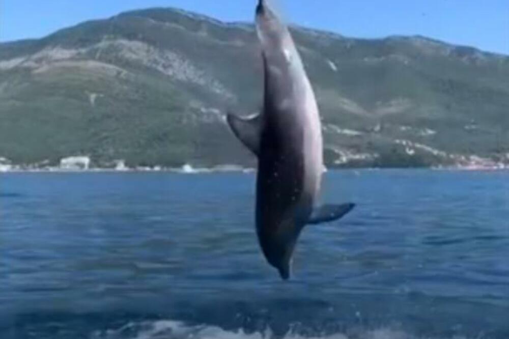 Foto: Printscreen Twitte/BBC na srpskom