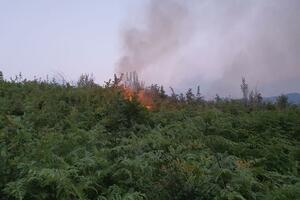 Kolašin: Lokalizovan požar na području Moračkog Trebaljeva