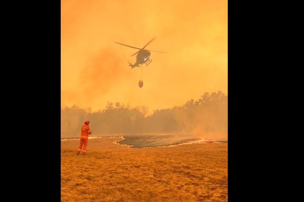 Detalj sa Krasa, Foto: Reuters