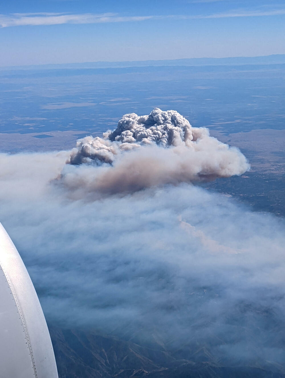 <p>"Vatra se ponaša poput eksploziva i to je velika poteškoća za vatrogasce", saopšteno je iz vatrogasne službe Kalifornije</p>