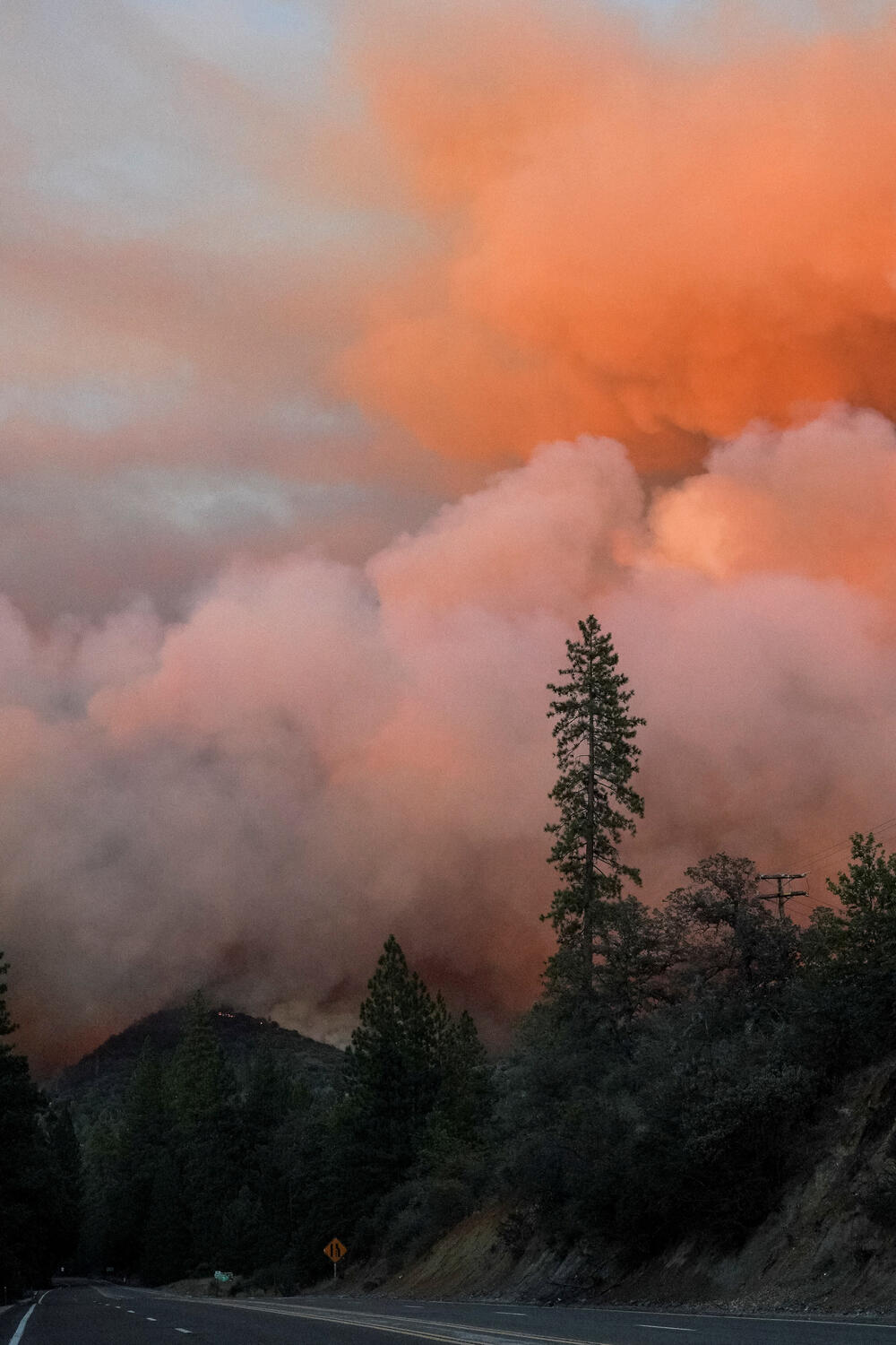 <p>"Vatra se ponaša poput eksploziva i to je velika poteškoća za vatrogasce", saopšteno je iz vatrogasne službe Kalifornije</p>