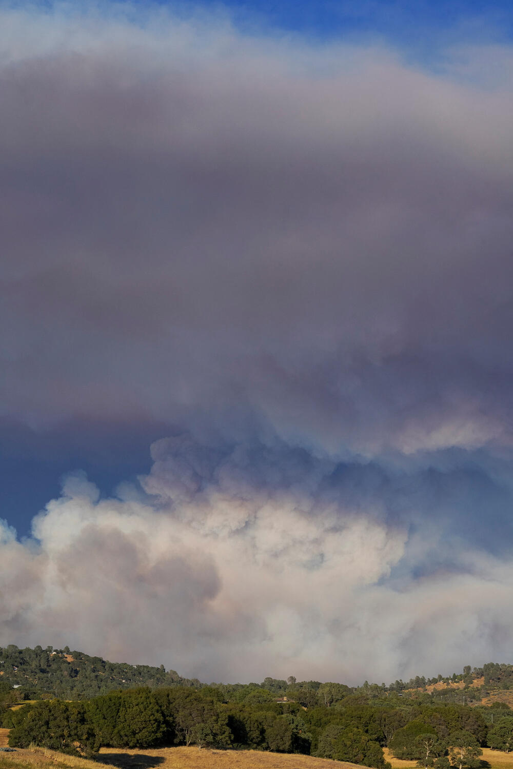 <p>"Vatra se ponaša poput eksploziva i to je velika poteškoća za vatrogasce", saopšteno je iz vatrogasne službe Kalifornije</p>