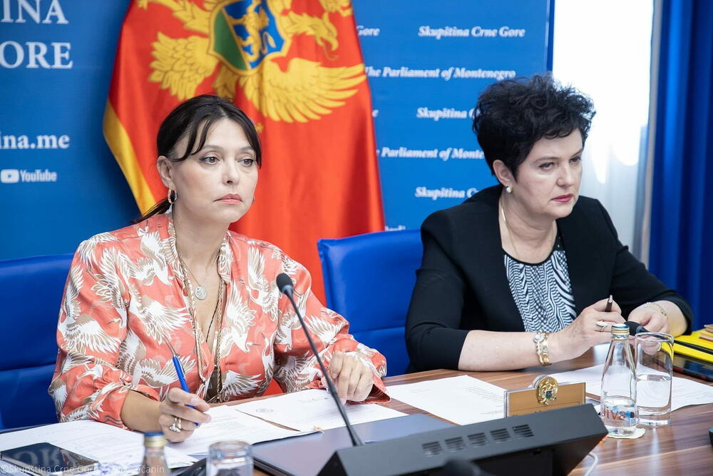 Glasanje o svim kandidatima: Simonida Kordić (lijevo) juče na Ustavnom odboru 