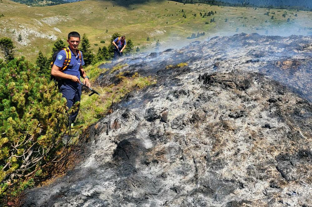 Foto: Svetlana Mandić