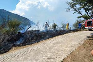 Lokalizovan požar u Lepetanima