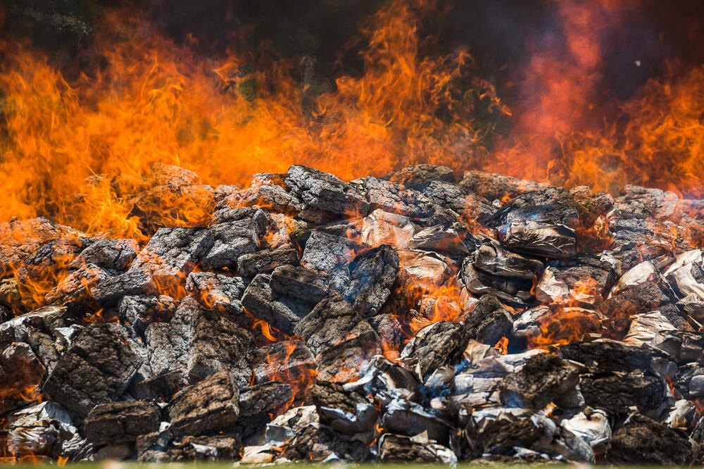 Ilustracija, Foto: Shutterstock