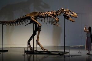 Skelet gorgosaurusa prodat za šest miliona dolara