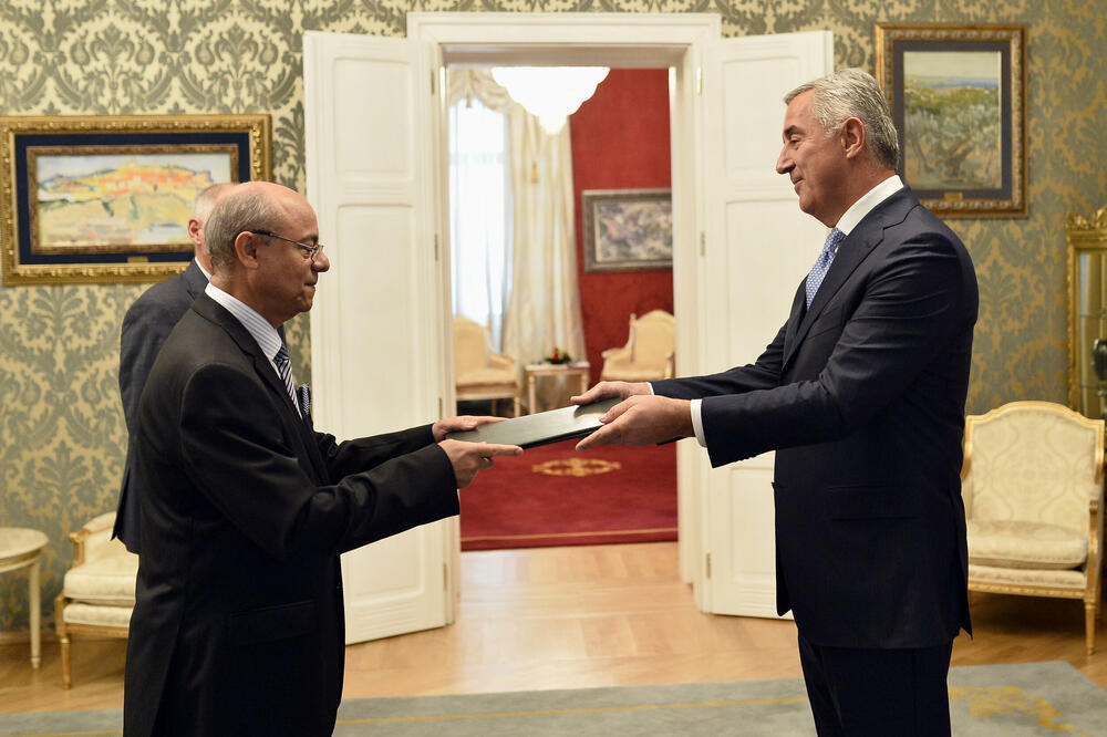 <p>Đukanović je, kako se navodi, odvojeno razgovarao s ambasadorima, poželio im dobrodošlicu na prijestono Cetinje, uspješnu misiju i iskazao uvjerenje da će tokom svojih mandata svaki od ambasadora, u saradnji sa državnim organima Crne Gore, dati doprinos unapređenju međudržavnih odnosa</p>