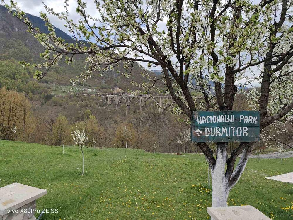 <p>Horizontalno zaključana stabilizacija- 360 gimbal sistem koji u modu fiksiranja "horizontalne linije" omogućava da telefon zarotirate za 360 stepeni, ali ćete i dalje imati ravnu sliku, cinematic mode za video snimke kao iz filma, zvjezdano nebo…sve se to može isprobati</p>