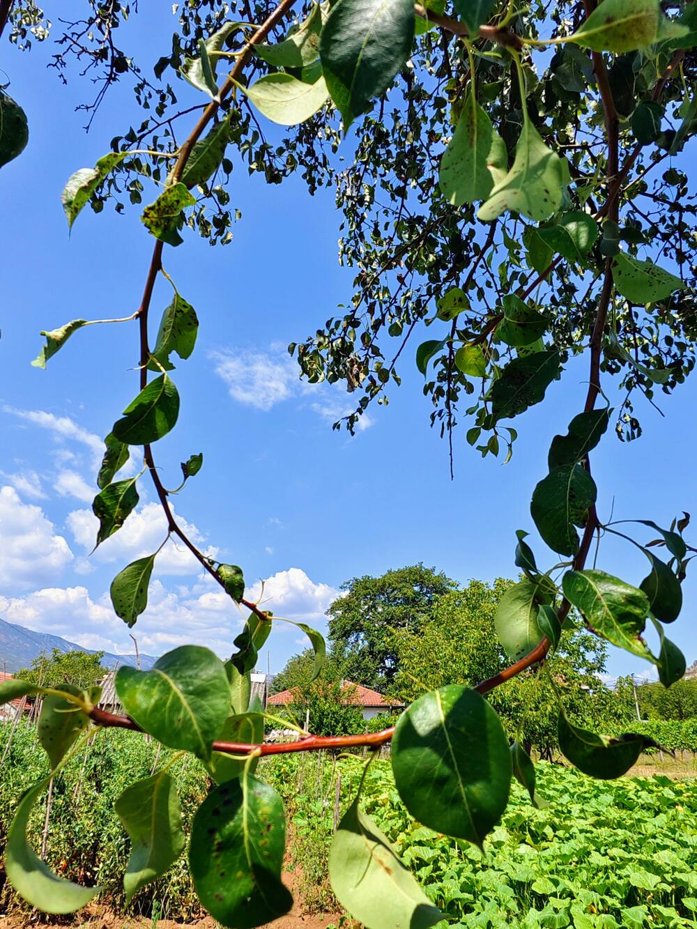 <p>Horizontalno zaključana stabilizacija- 360 gimbal sistem koji u modu fiksiranja "horizontalne linije" omogućava da telefon zarotirate za 360 stepeni, ali ćete i dalje imati ravnu sliku, cinematic mode za video snimke kao iz filma, zvjezdano nebo…sve se to može isprobati</p>
