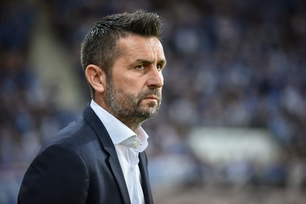 Bjelica, Foto: Shutterstock