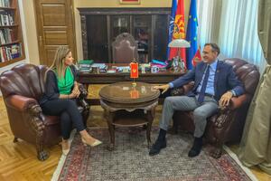 Krivokapić: Crna Gora ne bi postojala da nema prijatelje poput...