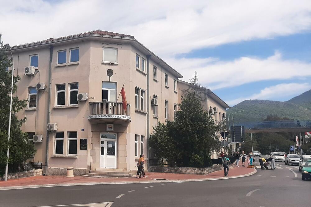 Foto: Siniša Luković