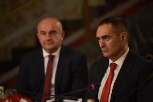 Damjanović: Skupština državi oduzela 50 miliona usvojenim...