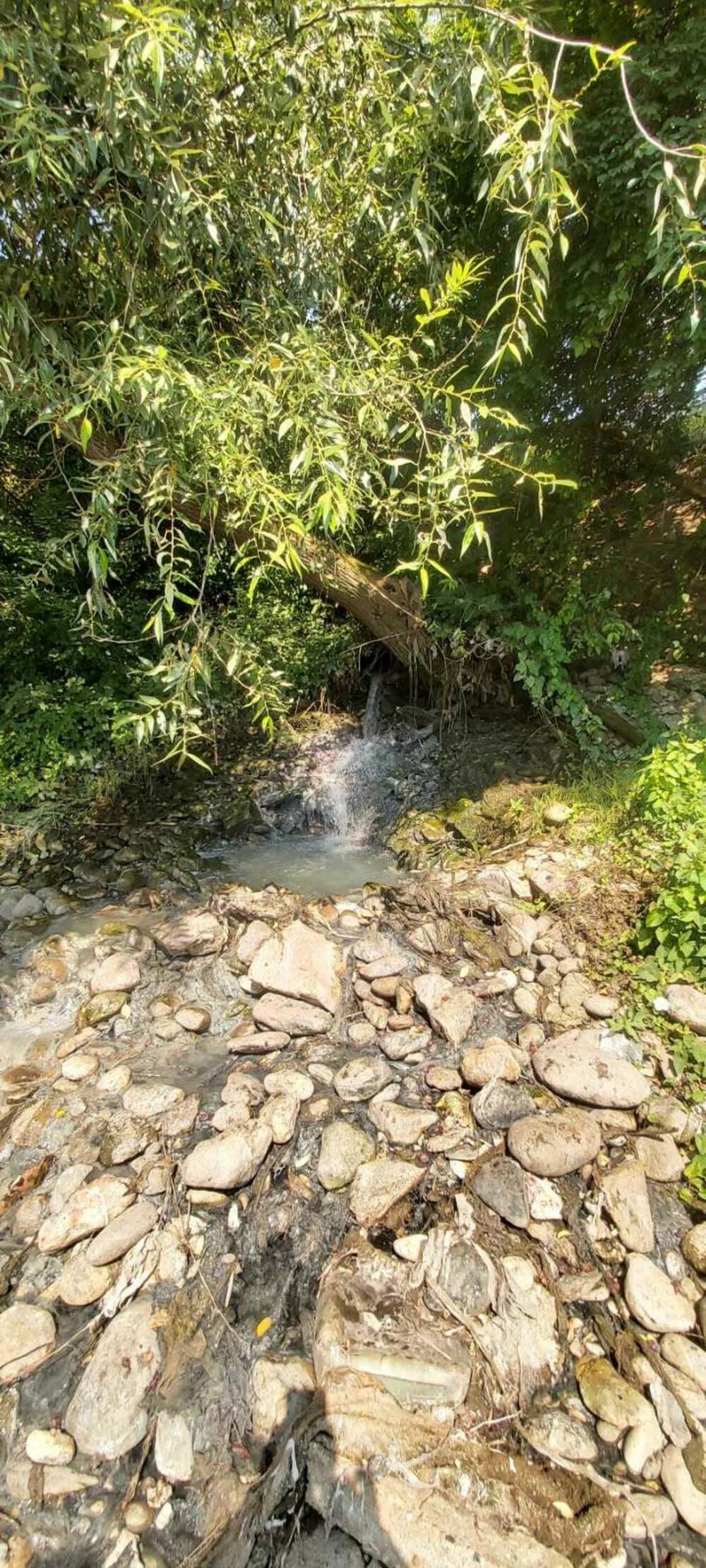 <p>"Obilaskom nekoliko kolektorskih cijevi, kao i obilaskom djelova lijeve i desne obale vodotoka Lima, opština Bijelo Polje, nije se mogao utvrditi izvor ekološkog akcedenta", kazao je inspektor za vode, Uprave za inspekcijske poslove Dragan Šekularac</p>