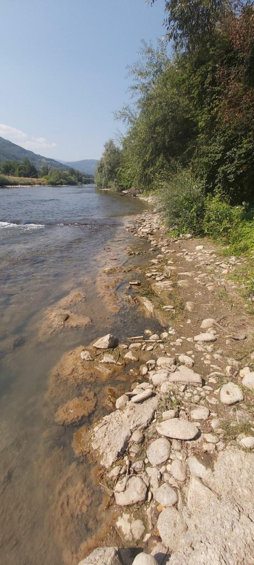 <p>"Obilaskom nekoliko kolektorskih cijevi, kao i obilaskom djelova lijeve i desne obale vodotoka Lima, opština Bijelo Polje, nije se mogao utvrditi izvor ekološkog akcedenta", kazao je inspektor za vode, Uprave za inspekcijske poslove Dragan Šekularac</p>