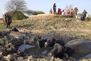 Indija i voda: Da sam znala da je situacija ovako loša, nikad ne...