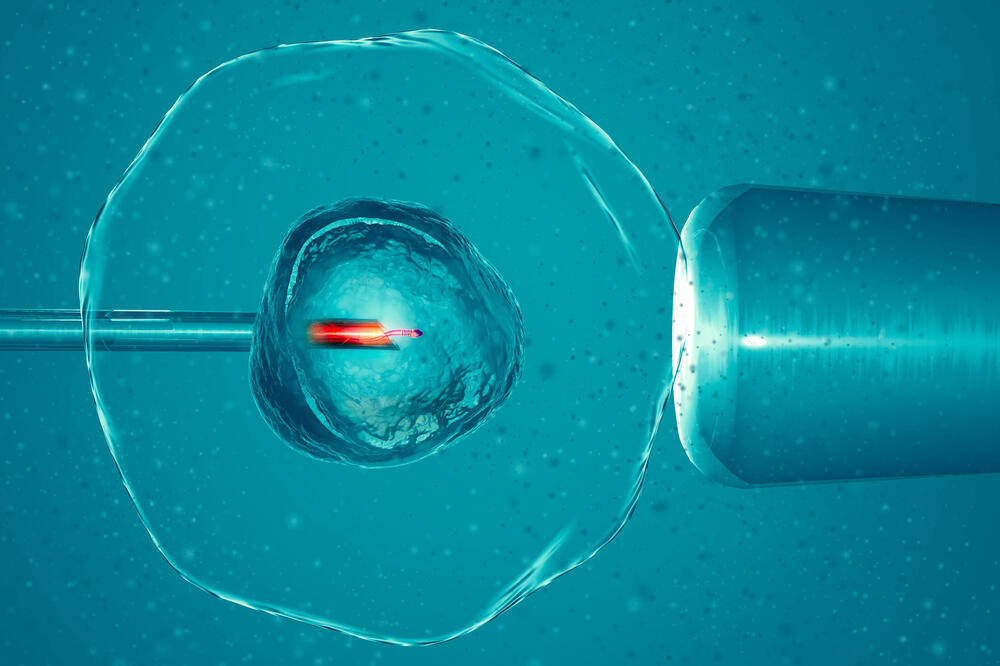Još nisu donijeta podzakonska akta za sva prava koje zakoni predviđaju za pacijente koji se liječe od steriliteta, Foto: Shutterstock