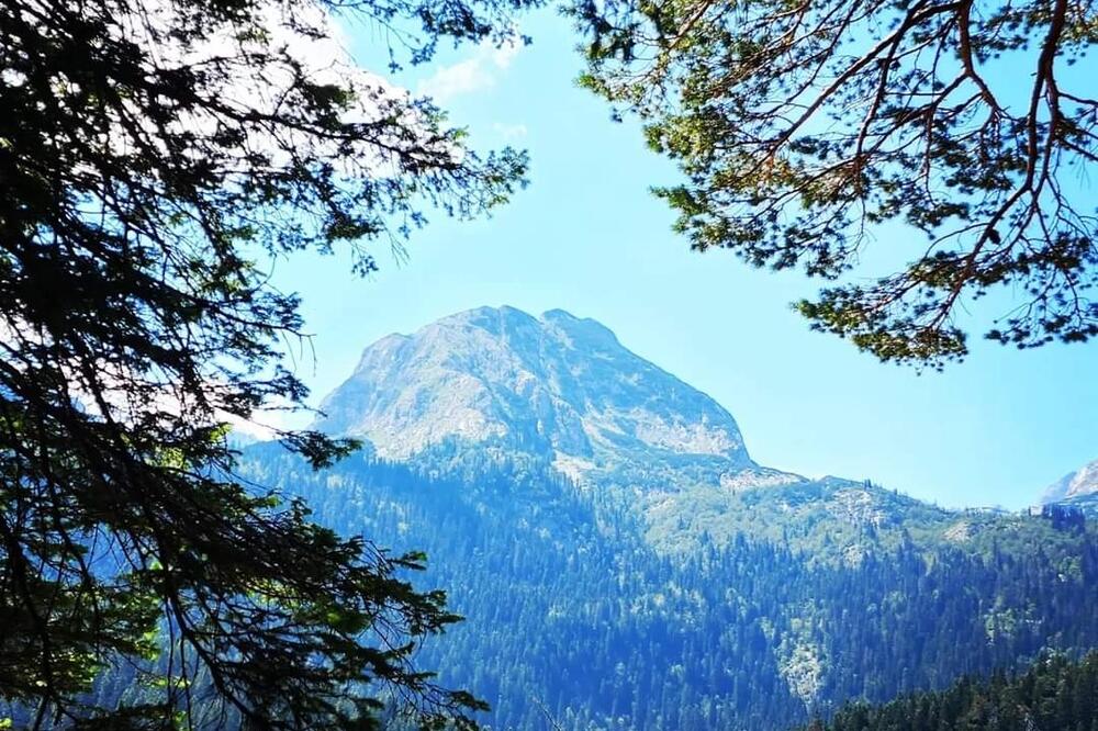 Foto: Green Montenegro International film festival