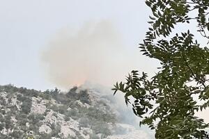NVO Expeditio uputio apel Vladi, traži pomoć za gašenje požara u...