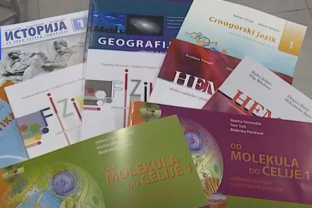 Ilustracija, Foto: Printscreen YouTube/TV Vijesti