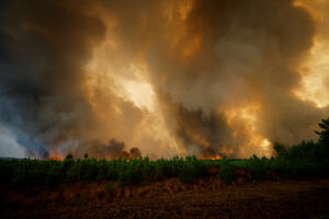 U Francuskoj 6.000 hektara šuma izgorijelo, evakuisano 8.000 ljudi