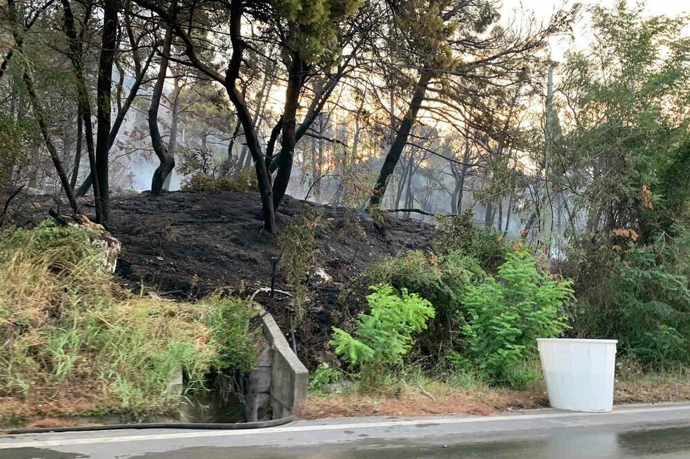 Foto: Jelena Jovanović