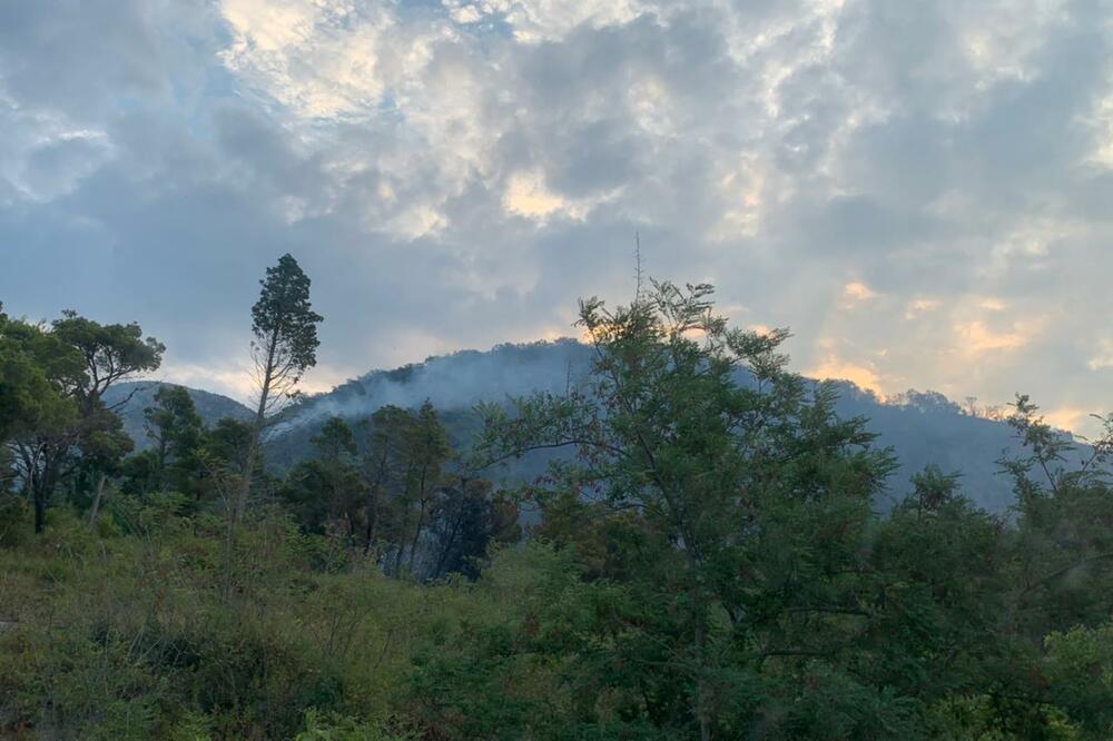 Foto: Jelena Jovanović