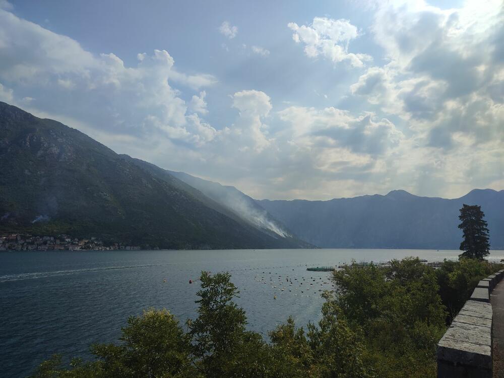 <p>"Vatra je prišla kućama, ali za sada je situacija pod kontrolom", rekao je zamjenik komandira Službe zaštite i spašavanja Kotor Eduard Kovačić</p>